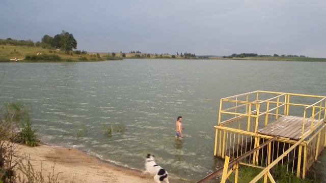 Первое купание пятимесячного алабая в озере среднеазиатская овчарка И гроза после купания смотреть онлайн
