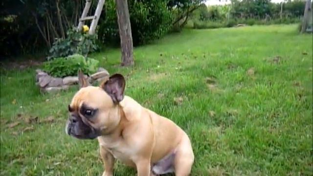 Diego´s Casting смотреть онлайн