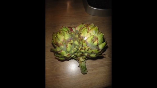 Spiritualité, alimentation et environnement