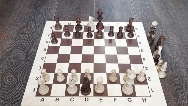 Шедевральный разгром за жадность | Уроки шахмат | Дебют Испанская партия смотреть онлайн