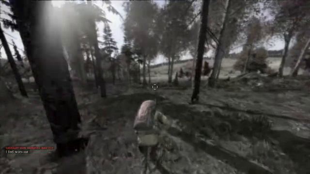 DayZ Standalone - Что да как смотреть онлайн