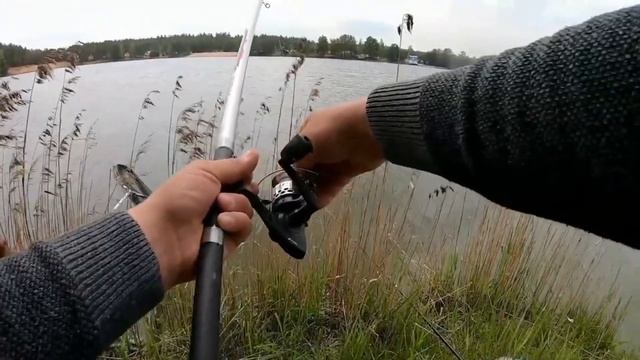 ЛЕСКА РВЁТСЯ КАК ПАУТИНА. НАХЕРАЧИЛИ ТРОФЕЙНЫХ ЭКЗЕМПЛЯРОВ. смотреть онлайн