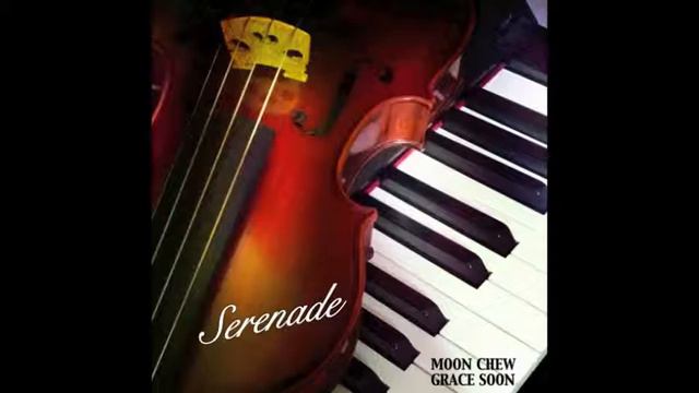 Serenade (Ständchen) - F.Schubert (Violin/Piano)
