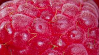 EP.1 смотреть онлайн