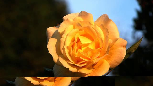 Море самых лучших новинок и фото онлайн смотреть онлайн