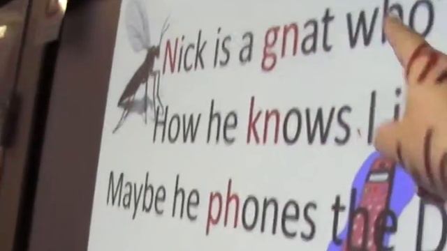 SSP Kindergarten/ Prep Spelling - Phonics - Discovering Sound Pics With The Reading Whisperer