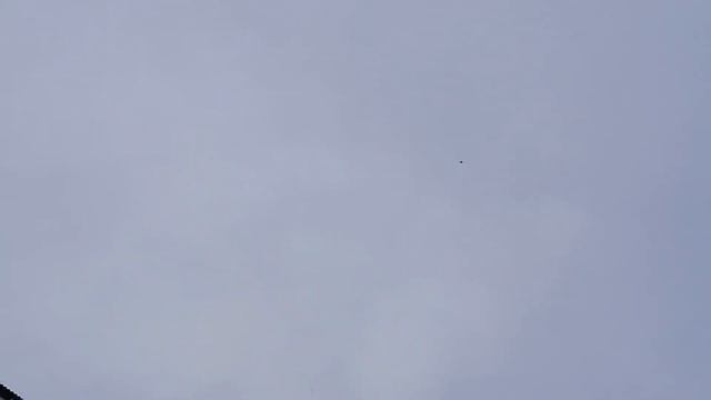 Гоняю голубей в 2020 году, первые подкидушки. смотреть онлайн