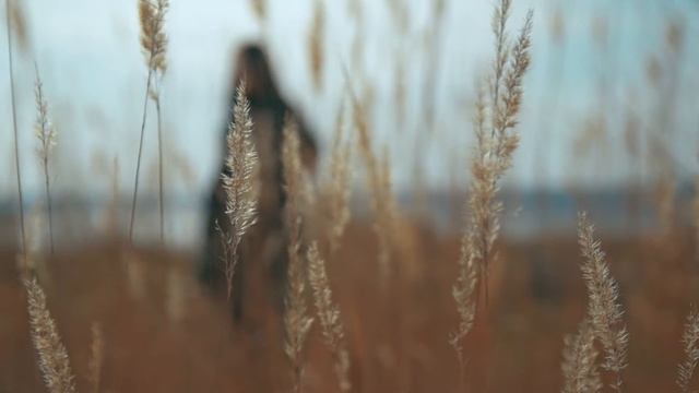 Calm on candles смотреть онлайн