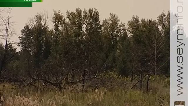 Зеленые легкие Земли. 21 марта — Международный день лесов смотреть онлайн