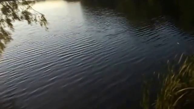 Группа Добрая весть И смотрю я на мир сквозь завесу печали смотреть онлайн