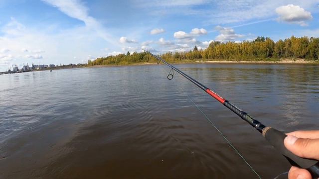 Судак найден!но размер не тот! смотреть онлайн