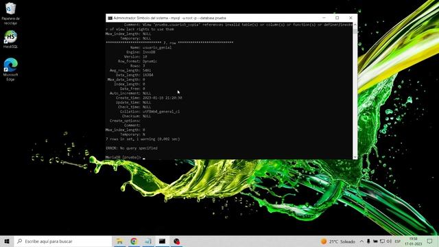 SHOW TABLE STATUS Mariadb/Mysql смотреть онлайн