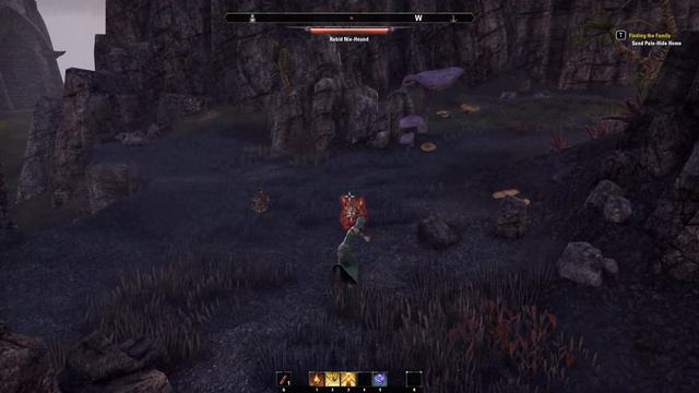 Bal Foyen Treasure - ищем сокровища в TES Online смотреть онлайн