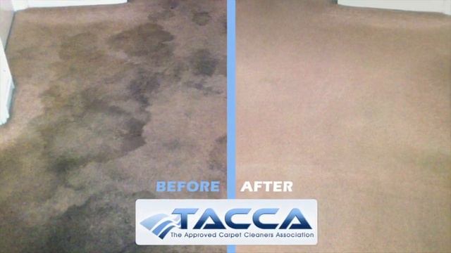 TACCA - The Approved Carpet Cleaners Association UK смотреть онлайн