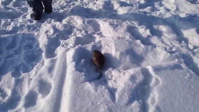 Не рыбалка!!!! смотреть онлайн