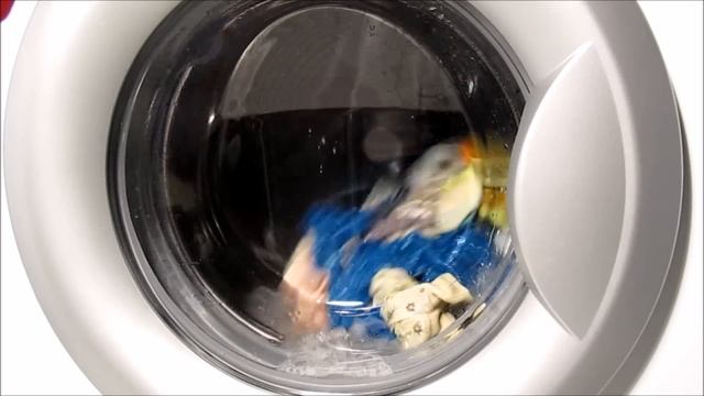 Стиральная машина LG F10B8QD1 "Интенсивно 60"/Washing machine LG F10B8QD1 "Intensive 60". смотреть онлайн