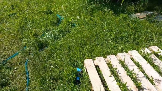 Вот это жара! На даче смотреть онлайн