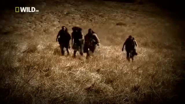 Саблезубый тигр - неустрашимый убийца. смотреть онлайн