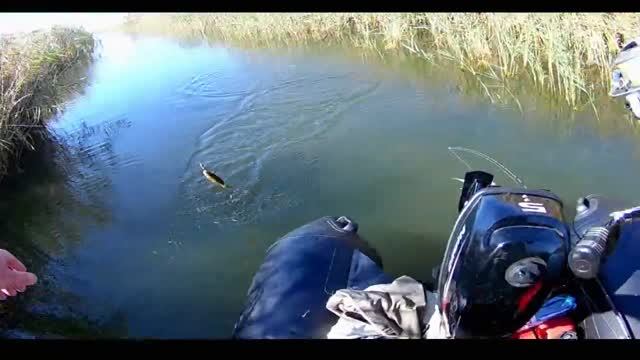 Окунь в лиманах хутора Садки... По следам Димы Тревоги... смотреть онлайн