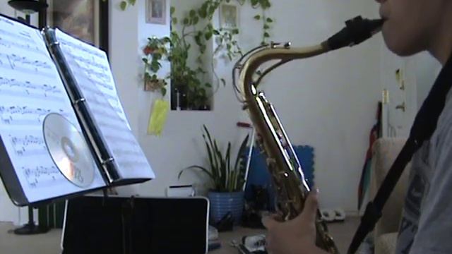 Sonata No. 3 3rd movement-Largo arr. by Sigurd Rascher смотреть онлайн