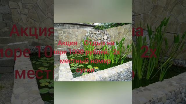 отдых на море 2022 не дорого смотреть онлайн