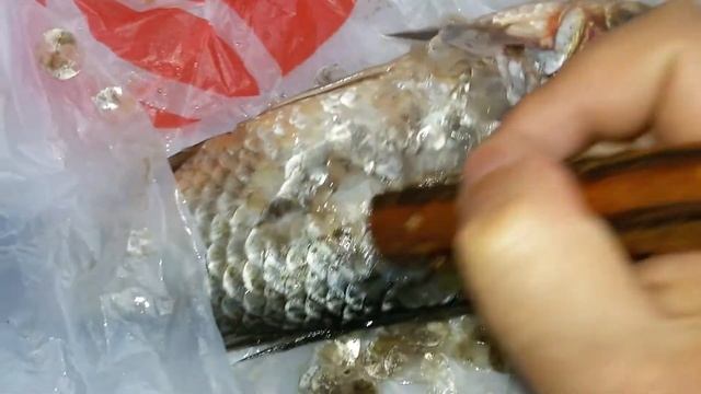 Самодельное приспособление для чистки карася.Как быстро очистить карася от чешуи.Чистилка для рыбы смотреть онлайн
