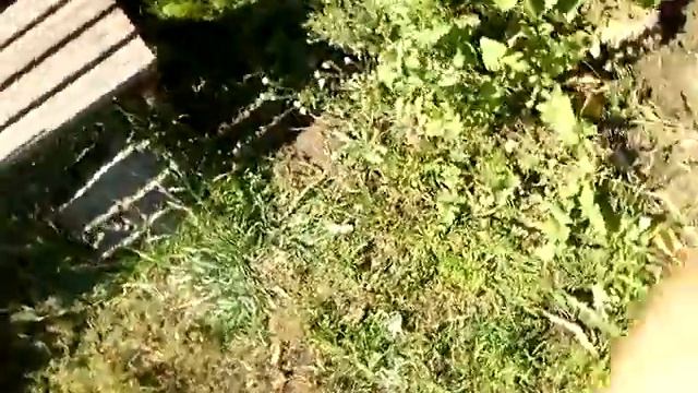 копченая рыба с рыбалки в Красном Боре Кама Татарстан смотреть онлайн