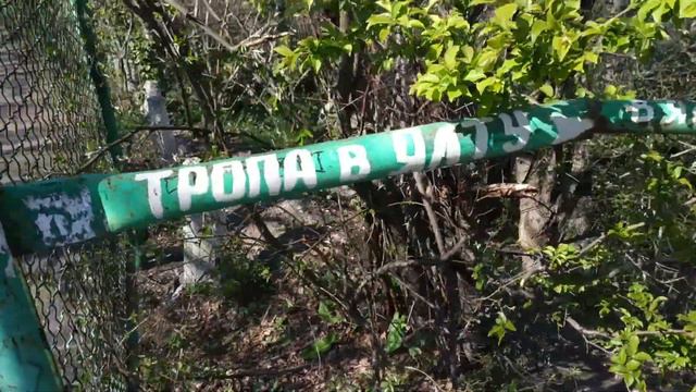 Прогулка из Ливадии в Ялту смотреть онлайн