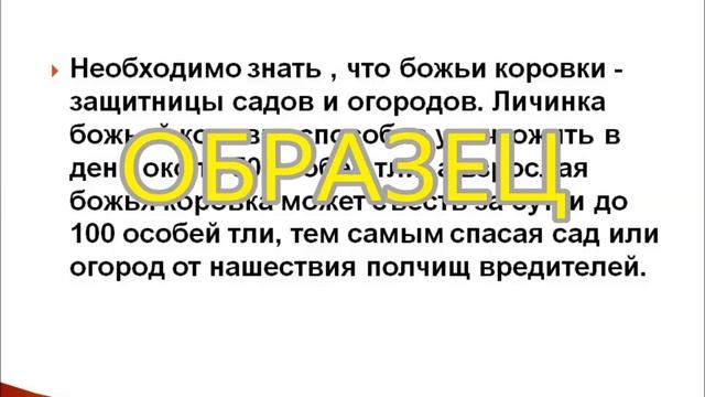 Презентация. Красная книга. Божья коровка. ОБРАЗЕЦ. смотреть онлайн