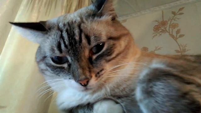 Пильщик, напили мне купола смотреть онлайн