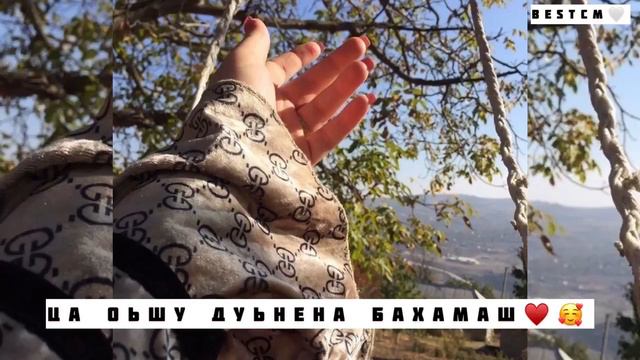 Со Муха ВЕхар Ву Те смотреть онлайн