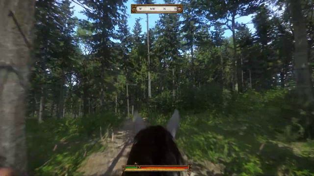 Kingdom Come Deliverance: Nest of Vipers quest - how to find the bandit camp смотреть онлайн