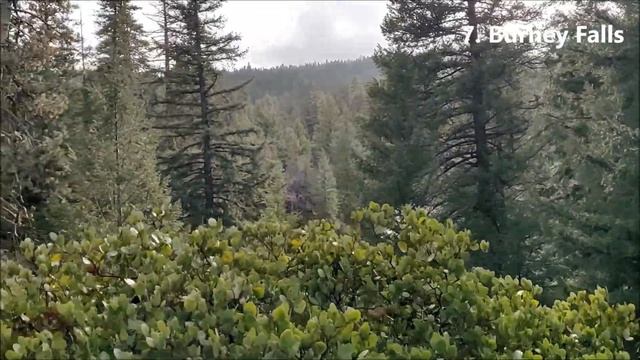 Attractions & 10 Things to do in Mount Shasta, California - 2021 смотреть онлайн