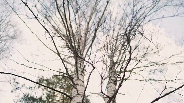 В Сохарево на велосипедах смотреть онлайн
