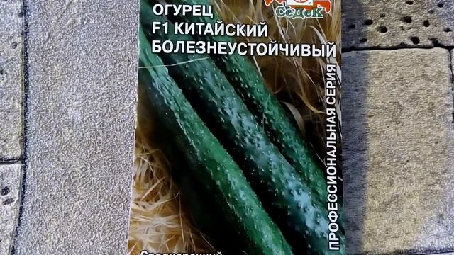 Огурец F1 Китайский болезнеустойчивый - ознакомление смотреть онлайн