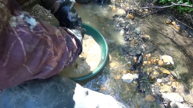 Как найти золото в ручье!!!#3 Возле жилы!!! смотреть онлайн