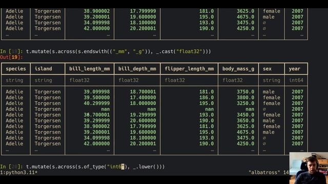 Fast and Flexible Analytics at Scale: Ibis Selectors смотреть онлайн