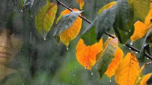 Вспомним забытые песни.В белом платье с пояском.mp4