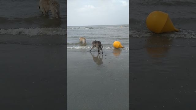 Французские каникулы