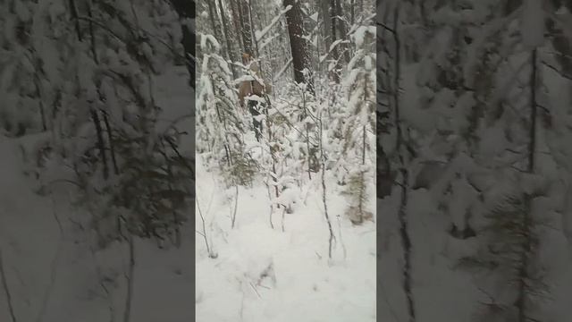 Беседа друзей геофизиков при магниторазведке смотреть онлайн