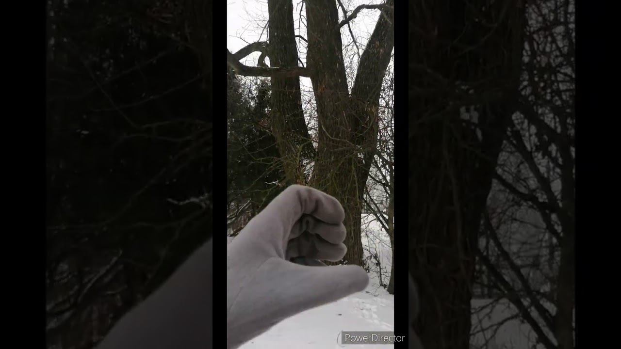 Откровенно высказалась, но я = у себя дома, так что - мнение не обязывает к реакции. смотреть онлайн