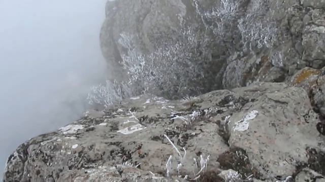 Туманный поход смотреть онлайн