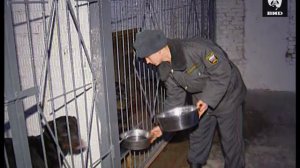 Служу Отчизне 27.11.2005