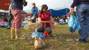 Harvesting Ducks Goes To Village Market Sell - Repair Ducks Farm & Buy Ducklings To Raise