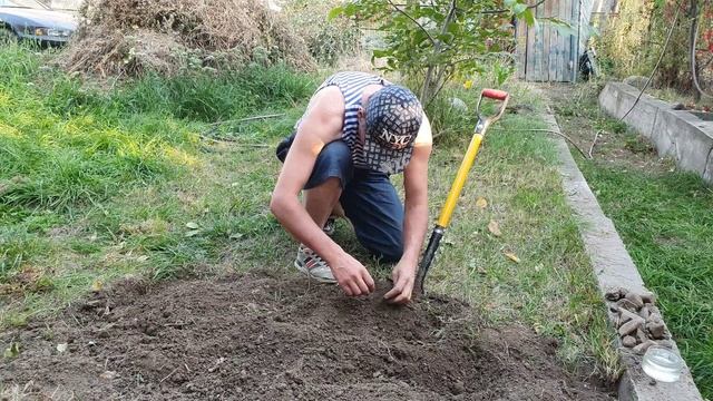 8 Повезло выкопать самородок (3).mp4 смотреть онлайн