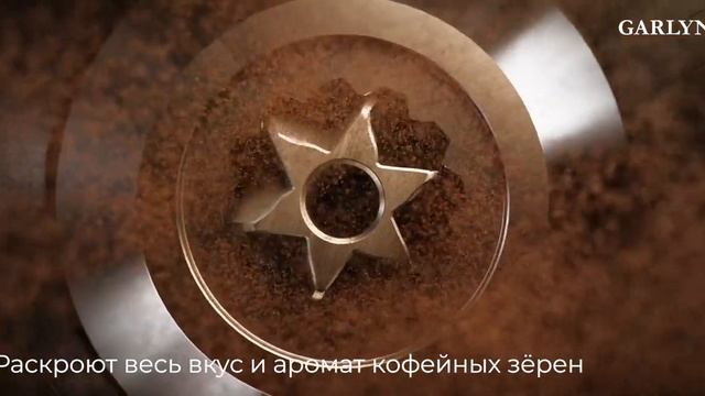 GARLYN L1000 смотреть онлайн