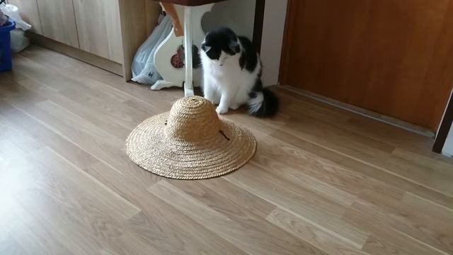 Кто в тереме живёт? смотреть онлайн