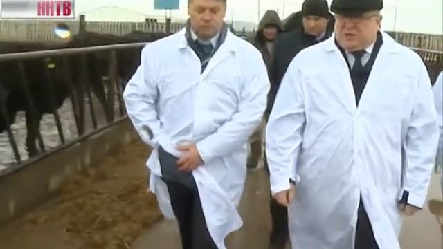 Интеллектуальные фермы в Лысковском районе смотреть онлайн