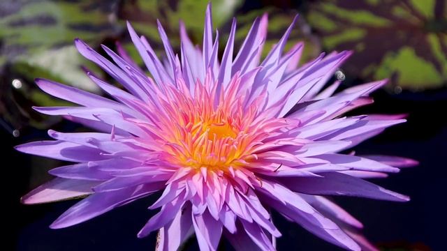 Жизненные истории ?Новый папа?Истории из жизни смотреть онлайн