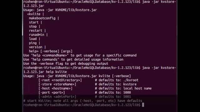 Configuring Eclipse for Oracle NoSQL Database Development смотреть онлайн